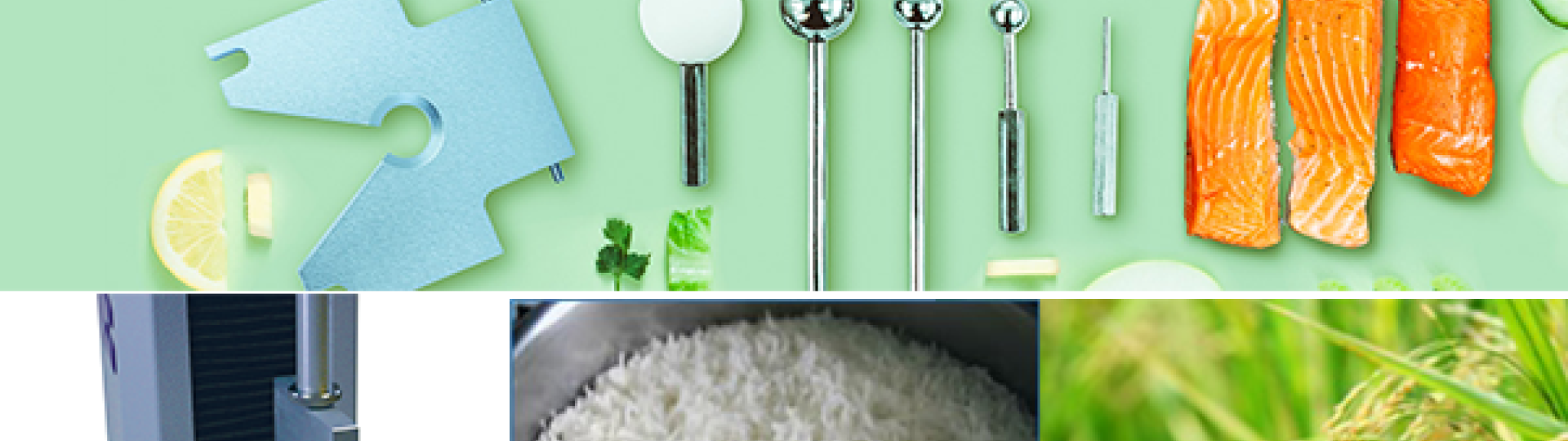 rice texture analyzer